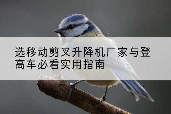 蒙山电动升降机厂家-选移动剪叉升降机厂家与登高车必看实用指南