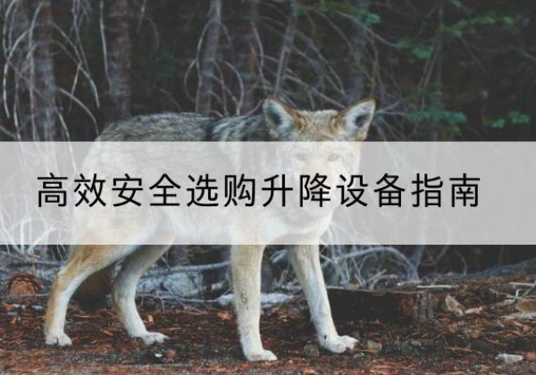 蒙山升降货梯厂家推荐-*安全选购升降设备指南