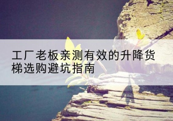 蒙山升降货梯怎么选-工厂老板亲测有效的升降货梯选购避坑指南